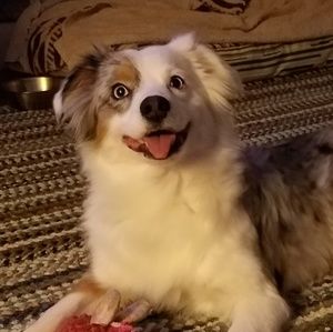 Meet your Posher, Wendy